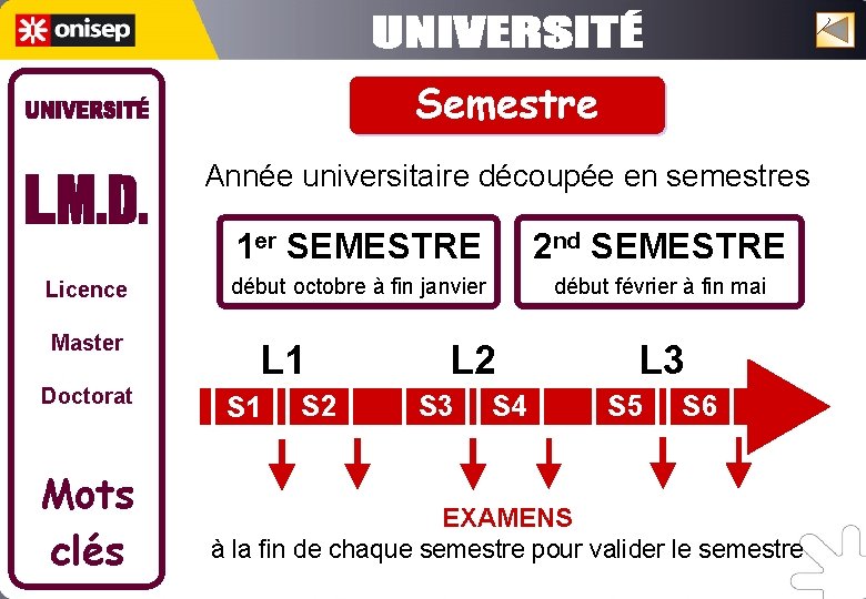 Semestre Année universitaire découpée en semestres Licence Master Doctorat Mots clés 1 er SEMESTRE