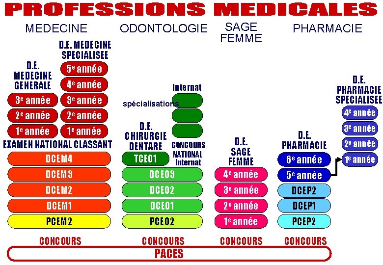 MEDECINE D. E. MEDECINE GENERALE 3 e année 2 e année ODONTOLOGIE D. E.