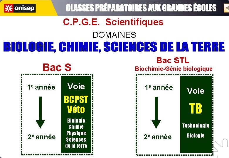 C. P. G. E. Scientifiques DOMAINES Bac S 1 e année Voie Bac STL