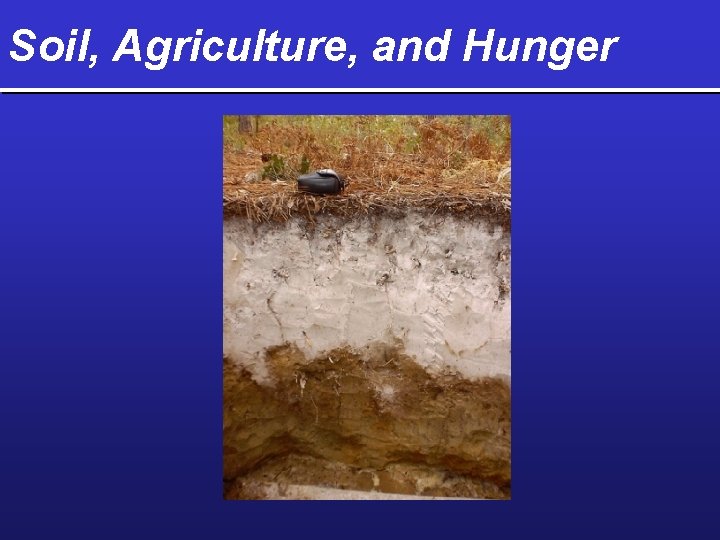Soil, Agriculture, and Hunger 
