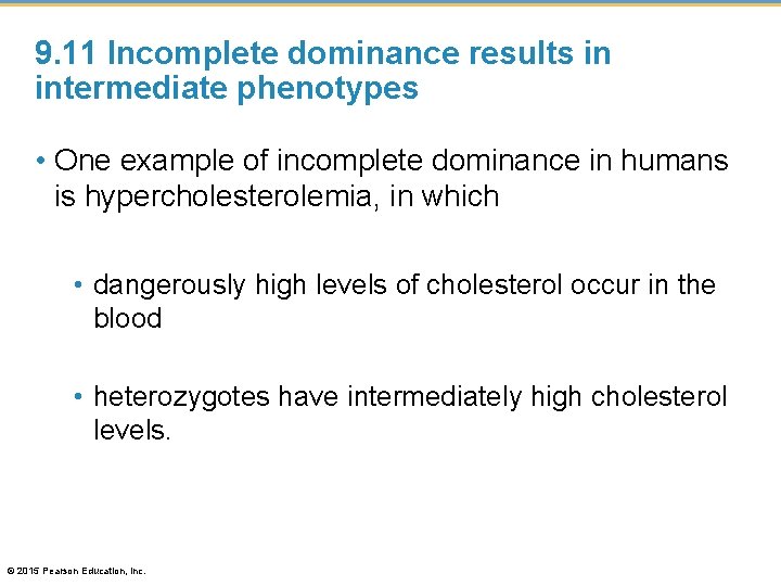 9. 11 Incomplete dominance results in intermediate phenotypes • One example of incomplete dominance