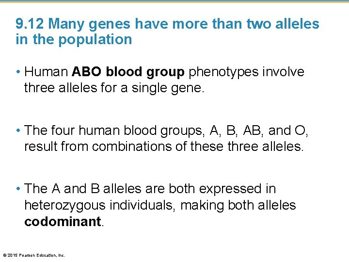 9. 12 Many genes have more than two alleles in the population • Human