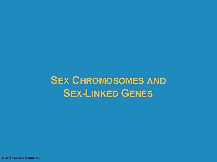 SEX CHROMOSOMES AND SEX-LINKED GENES © 2015 Pearson Education, Inc. 