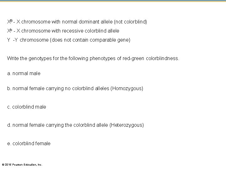 XB - X chromosome with normal dominant allele (not colorblind) Xb - X chromosome