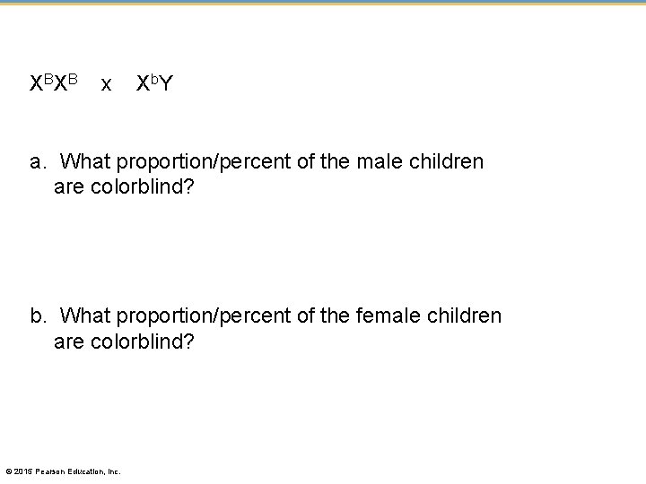 X BX B x X b. Y a. What proportion/percent of the male children