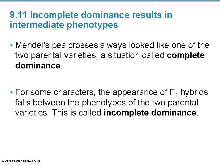 9. 11 Incomplete dominance results in intermediate phenotypes • Mendel’s pea crosses always looked