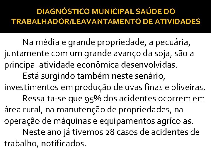 DIAGNÓSTICO MUNICIPAL SAÚDE DO TRABALHADOR/LEAVANTAMENTO DE ATIVIDADES Na média e grande propriedade, a pecuária,