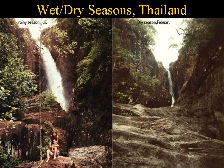 Wet/Dry Seasons, Thailand 