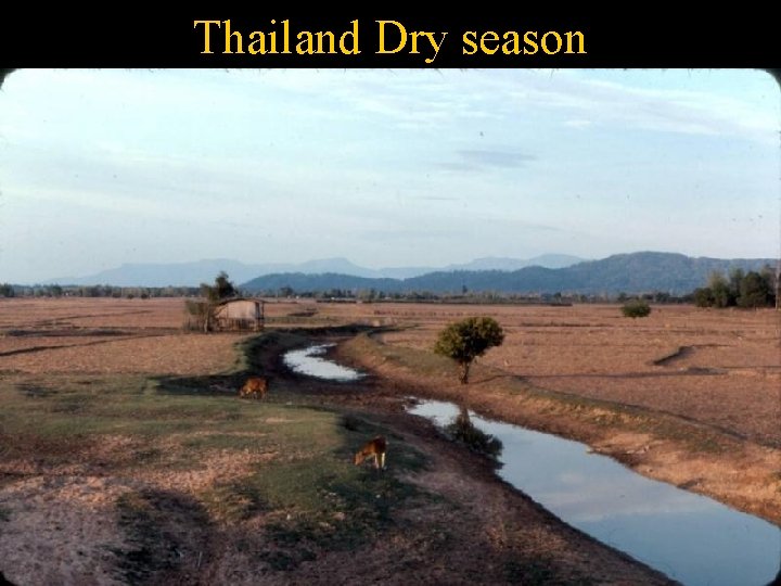 Thailand Dry season 