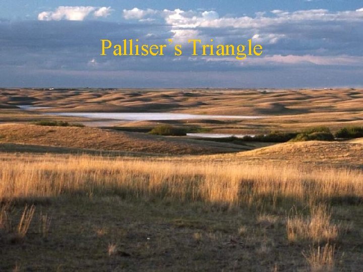 Palliser’s Triangle 