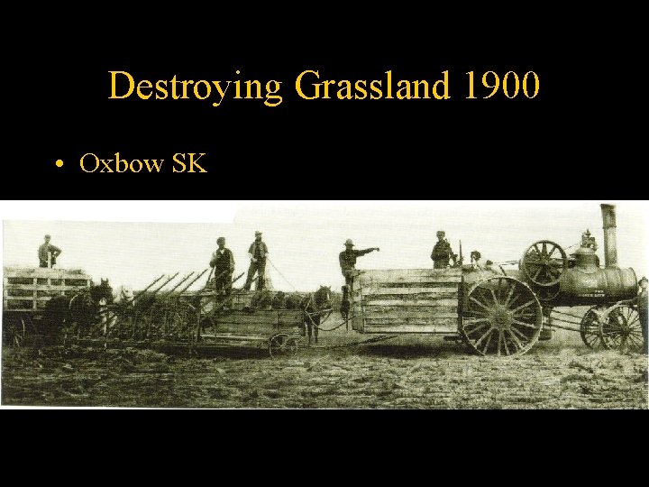 Destroying Grassland 1900 • Oxbow SK 