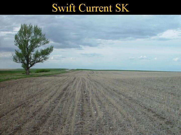 Swift Current SK 