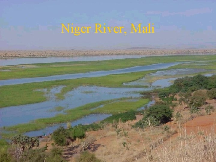 Niger River, Mali 