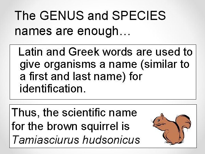 The GENUS and SPECIES names are enough… Latin and Greek words are used to