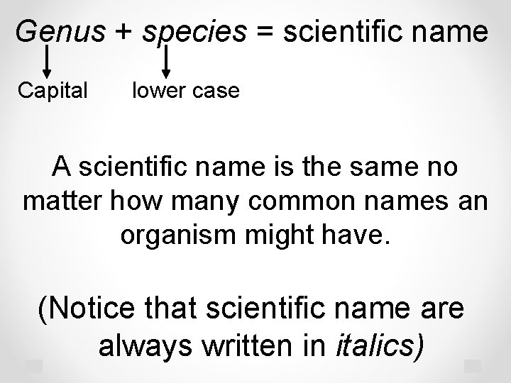 Genus + species = scientific name Capital lower case A scientific name is the