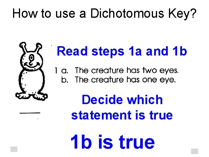 How to use a Dichotomous Key? Read steps 1 a and 1 b Decide