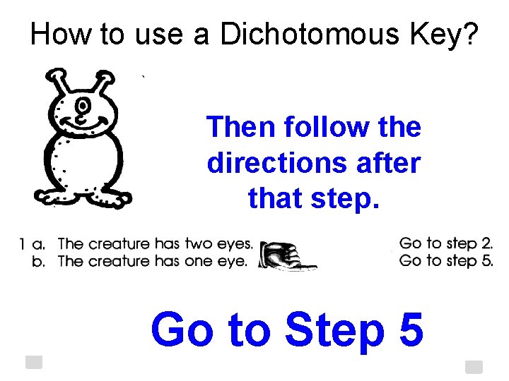 How to use a Dichotomous Key? Then follow the directions after that step. Go