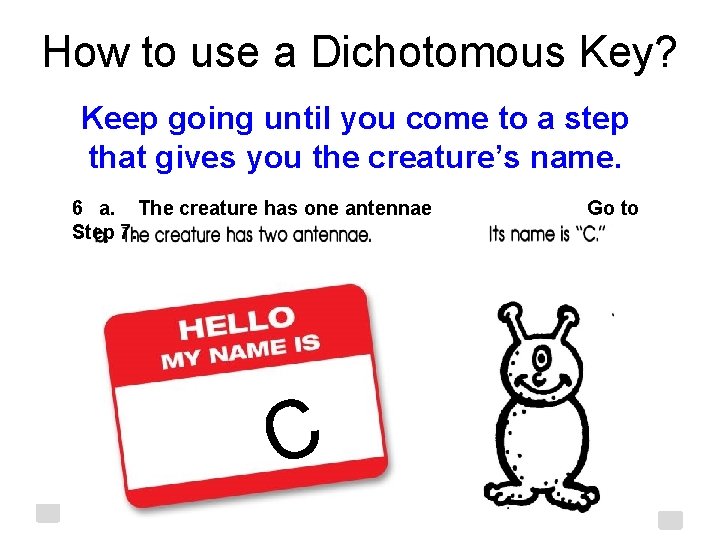 How to use a Dichotomous Key? Keep going until you come to a step