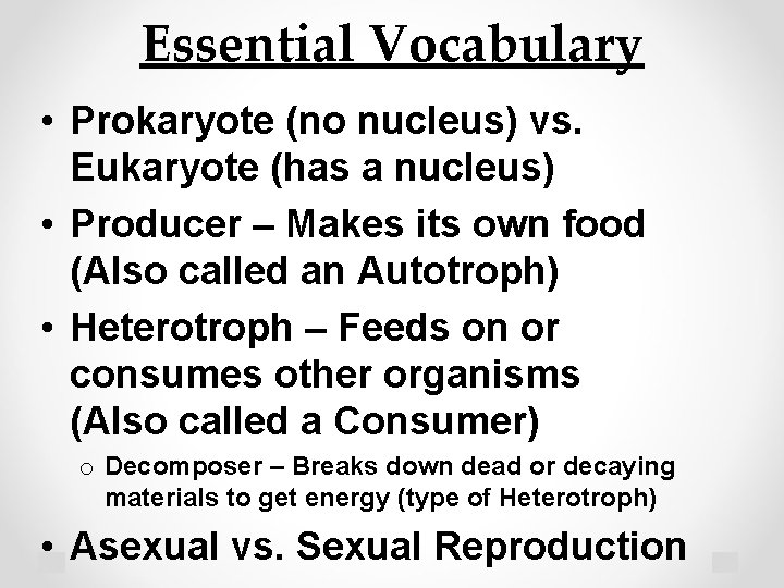 Essential Vocabulary • Prokaryote (no nucleus) vs. Eukaryote (has a nucleus) • Producer –