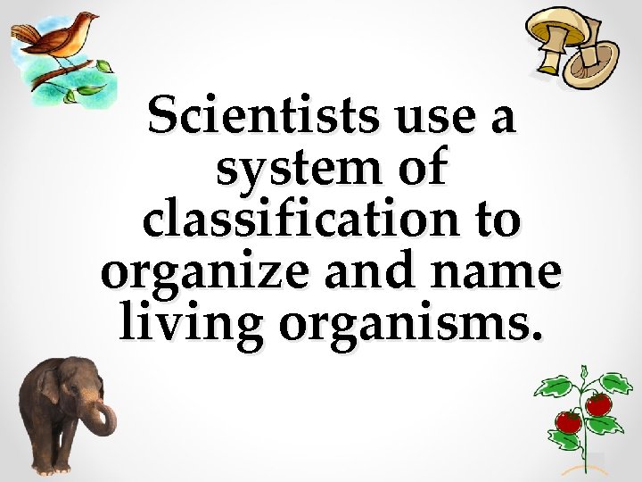 Scientists use a system of classification to organize and name living organisms. 