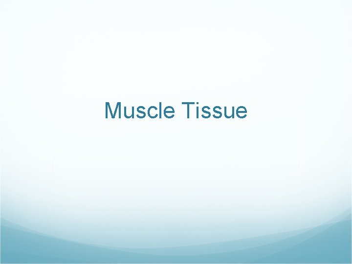 Muscle Tissue 