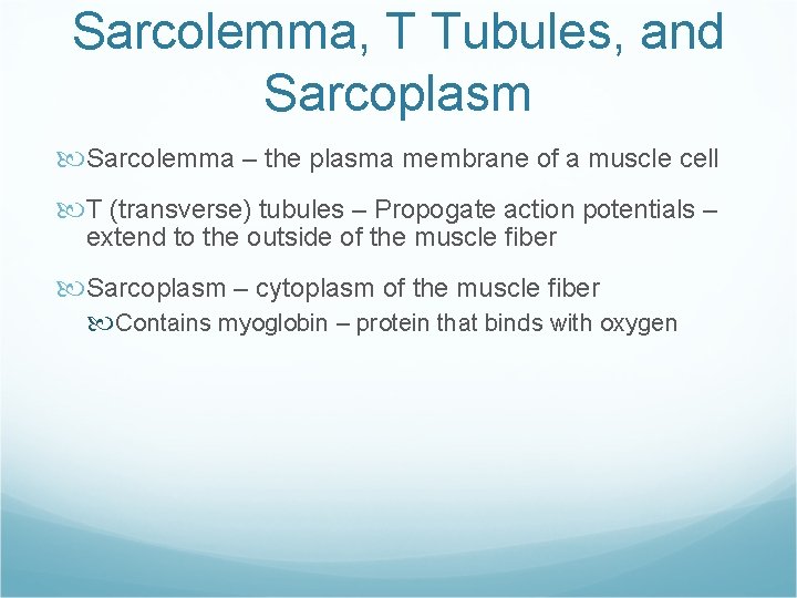 Sarcolemma, T Tubules, and Sarcoplasm Sarcolemma – the plasma membrane of a muscle cell