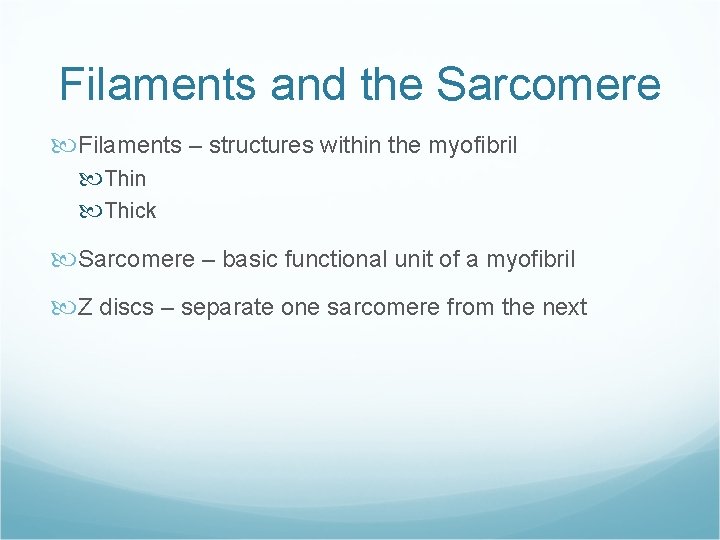 Filaments and the Sarcomere Filaments – structures within the myofibril Thin Thick Sarcomere –