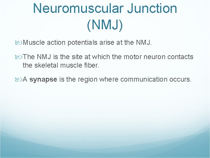 Neuromuscular Junction (NMJ) Muscle action potentials arise at the NMJ. The NMJ is the