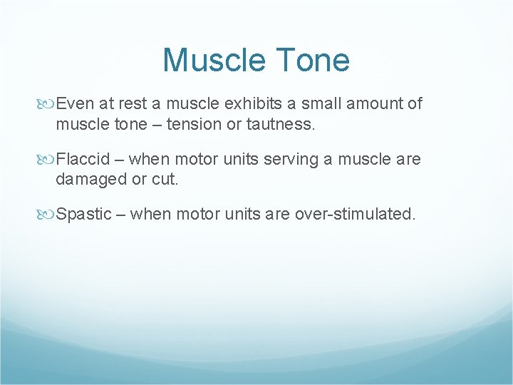 Muscle Tone Even at rest a muscle exhibits a small amount of muscle tone