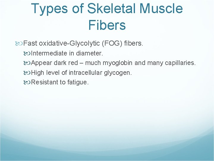 Types of Skeletal Muscle Fibers Fast oxidative-Glycolytic (FOG) fibers. Intermediate in diameter. Appear dark