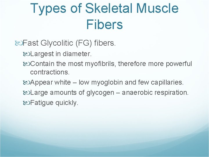 Types of Skeletal Muscle Fibers Fast Glycolitic (FG) fibers. Largest in diameter. Contain the