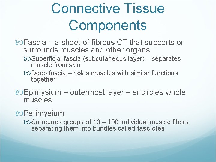 Connective Tissue Components Fascia – a sheet of fibrous CT that supports or surrounds