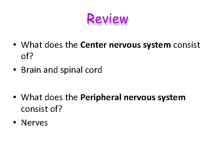 Review Nervous System Chapter 11 unit 2 Review