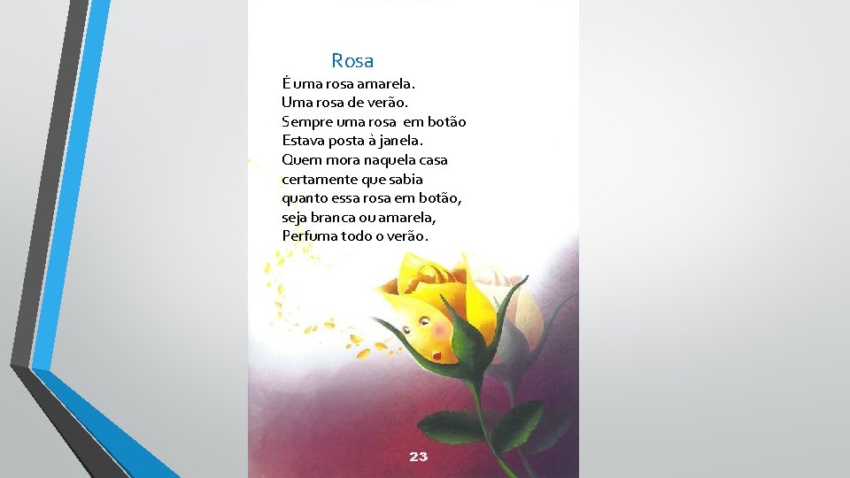 Rosa É uma rosa amarela. Uma rosa de verão. Sempre uma rosa em botão