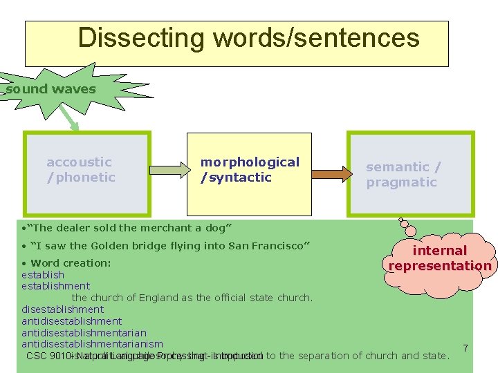 Dissecting words/sentences sound waves accoustic /phonetic morphological /syntactic semantic / pragmatic • “The dealer