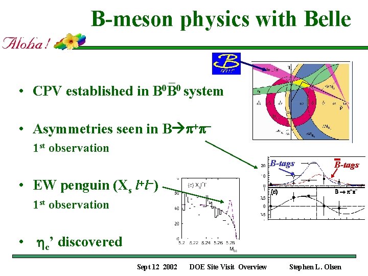 B-meson physics with Belle • CPV established in B 0 B 0 system •