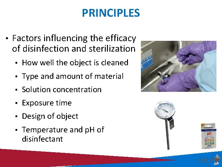 PRINCIPLES • Factors influencing the efficacy of disinfection and sterilization • How well the