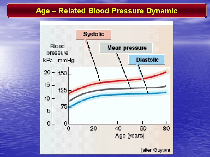 Age – Related Blood Pressure Dynamic 