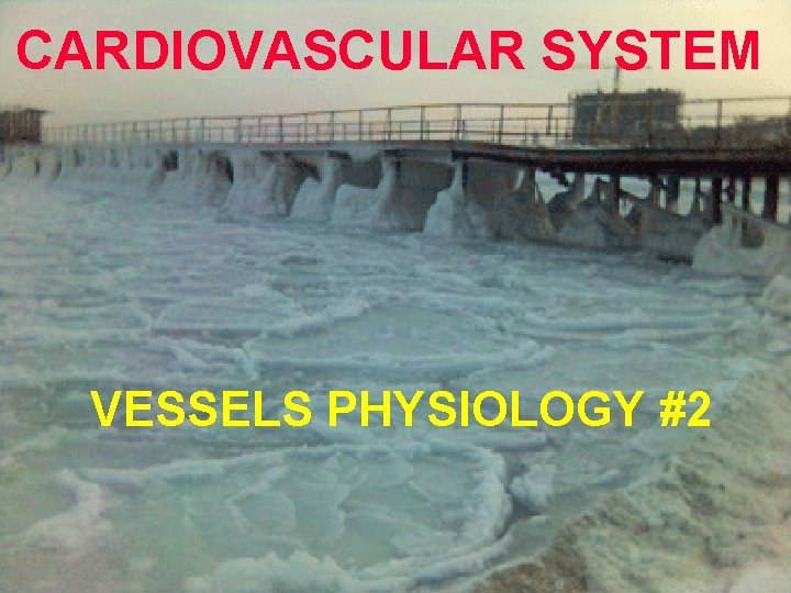 CARDIOVASCULAR SYSTEM VESSELS PHYSIOLOGY #2 