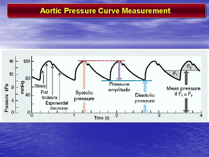 Aortic Pressure Curve Measurement 
