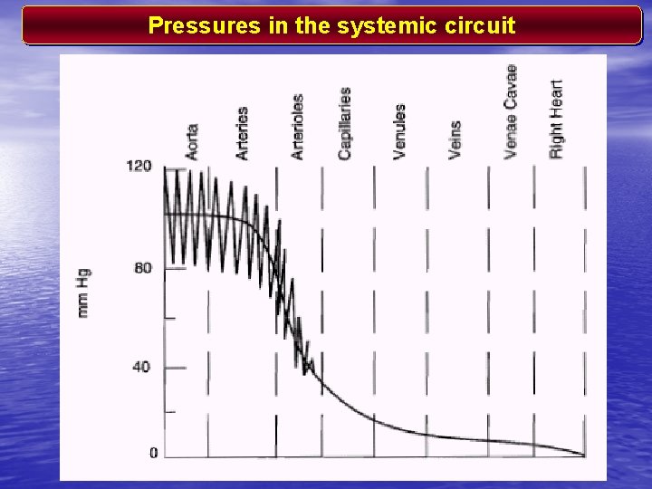 Pressures in the systemic circuit 