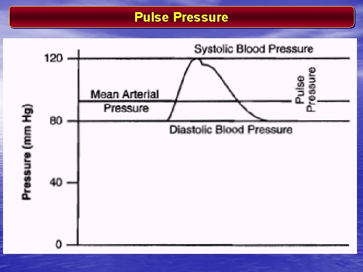 Pulse Pressure 