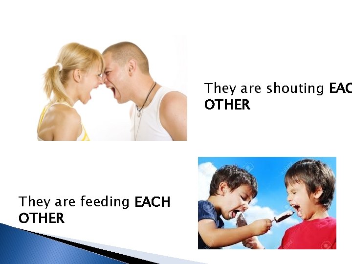 They are shouting EAC OTHER They are feeding EACH OTHER 