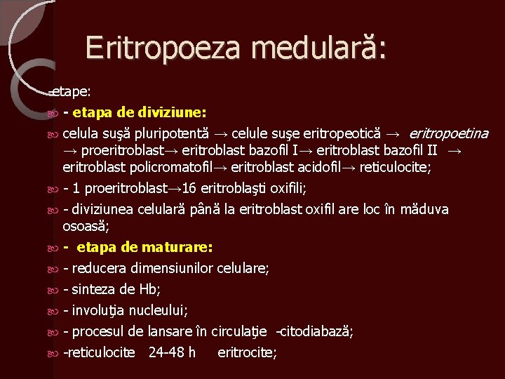 Eritropoeza medulară: -etape: - etapa de diviziune: celula suşă pluripotentă → celule suşe eritropeotică