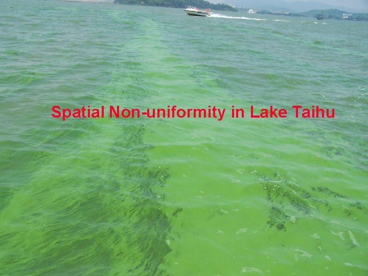 Spatial Non-uniformity in Lake Taihu Menghua Wang, NOAA/NESDIS/STAR 