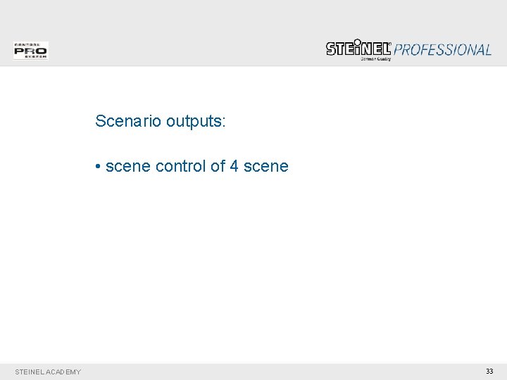 Scenario outputs: • scene control of 4 scene STEINEL ACADEMY 33 