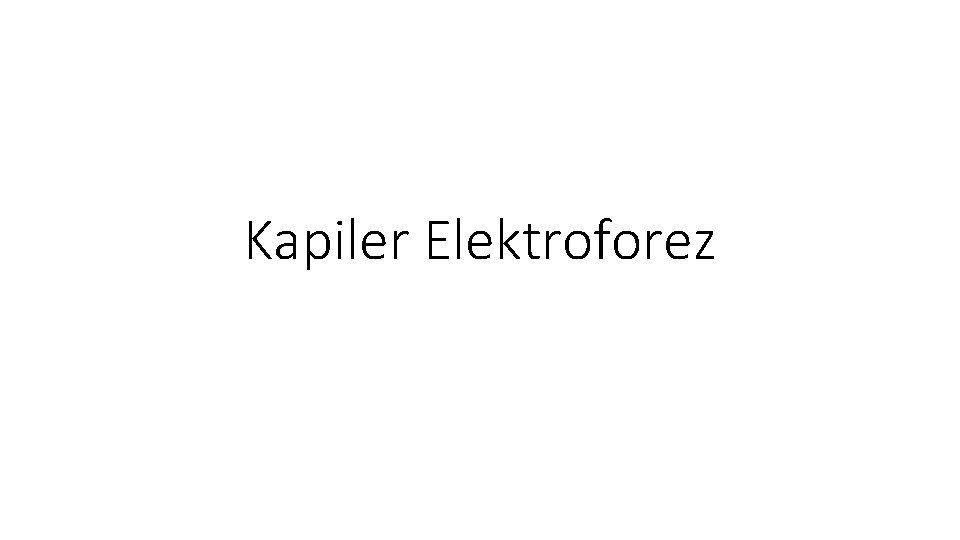 Kapiler Elektroforez 