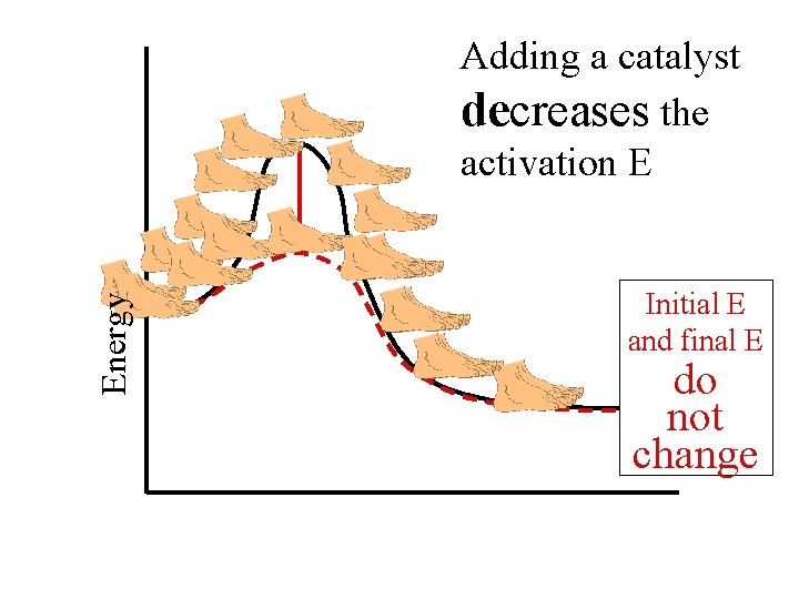 Energy Adding a catalyst decreases the activation E Initial E and final E do