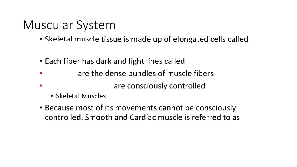 Muscular System • Skeletal muscle tissue is made up of elongated cells called Muscle