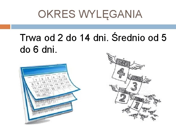 OKRES WYLĘGANIA Trwa od 2 do 14 dni. Średnio od 5 do 6 dni.